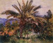 A Palm Tree at Bordighera Claude Monet